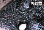 中国·ok138cn太阳集团(股份)有限公司-官方网站