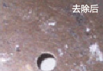 中国·ok138cn太阳集团(股份)有限公司-官方网站
